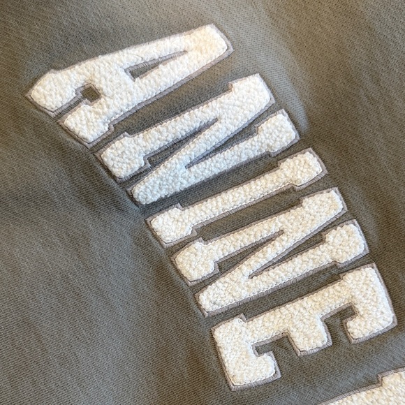 Anine Bing Gray/green Sweatshirt - Picture 6 of 6